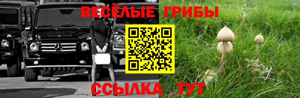 Псилоцибиновые грибы ЛСД  Вход с VPN  Гай  Псилоцибиновые грибы Psilocybe 